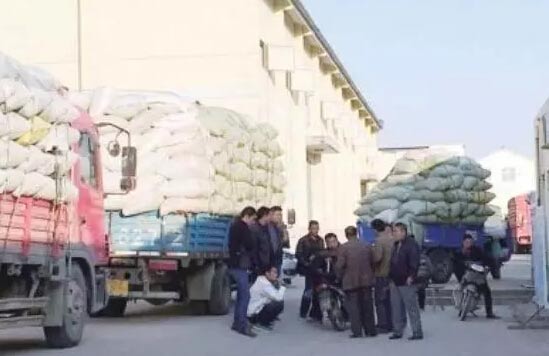 霸州某面粉廠驚現坑農地磅